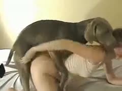 Doggy is adept at pleasing his owner.